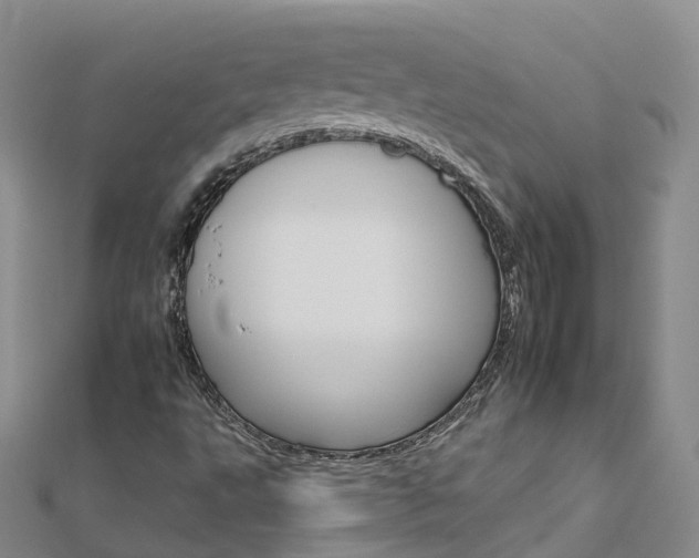 X0000112931495200908241042