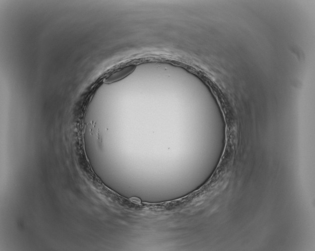 X0000112931496200908241042