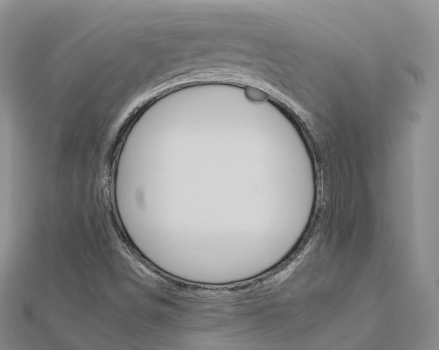 X0000112931498200908241042