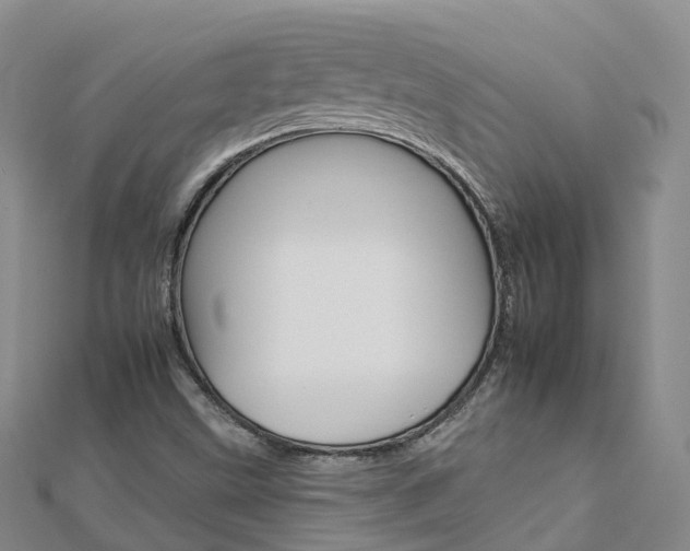 X0000112931499200908241042