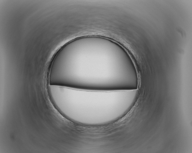X0000112931500200908241042
