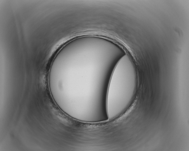 X0000112931501200908241042