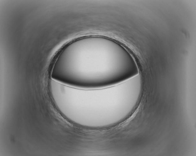 X0000112931502200908241042
