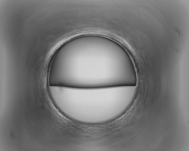 X0000112931504200908241042