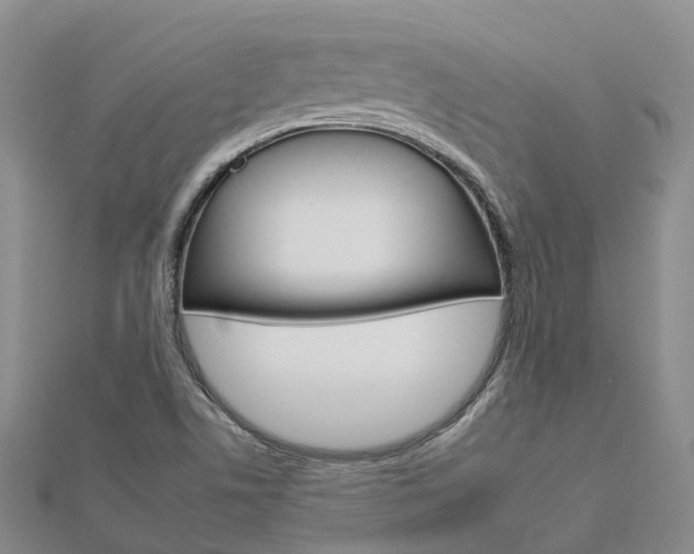 X0000112931506200908241042