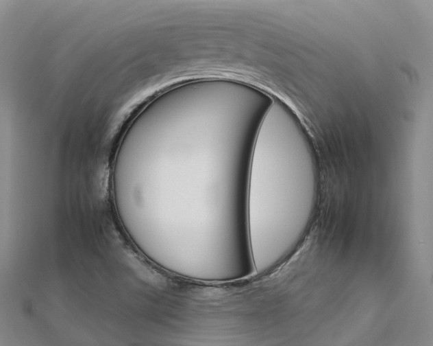 X0000112931507200908241042