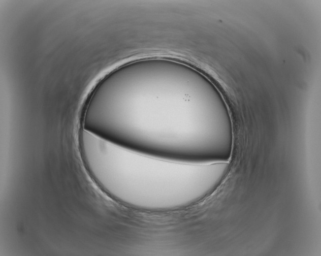 X0000112931508200908241042
