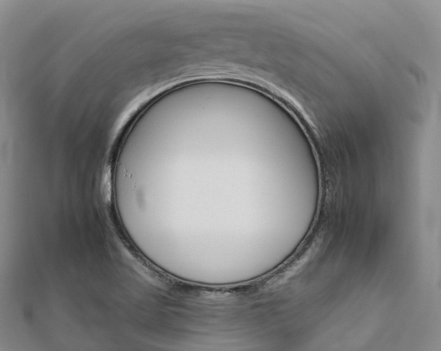 X0000112931509200908241042