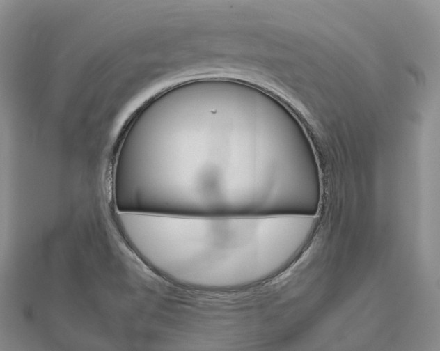 X0000112931510200908241042