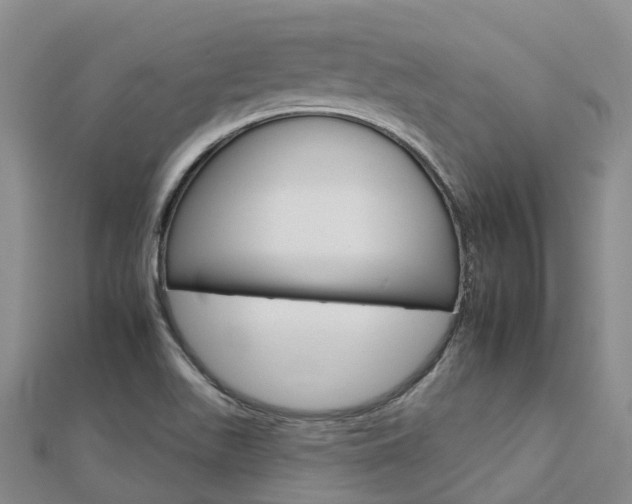 X0000112931511200908241042