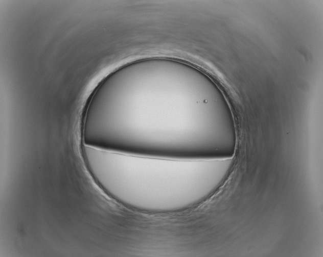 X0000112931512200908241042
