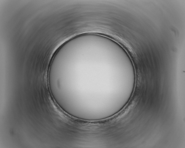 X0000112931513200908241042