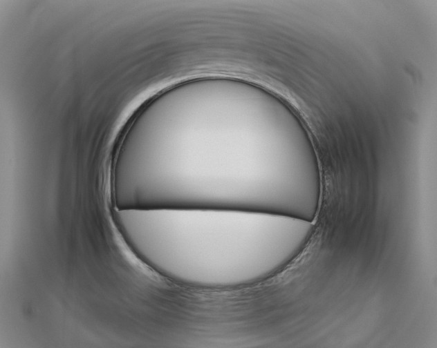 X0000112931515200908241042