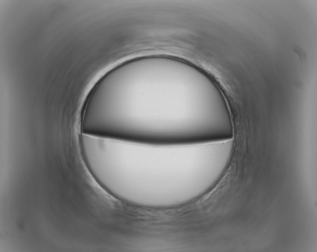 X0000112931516200908241042