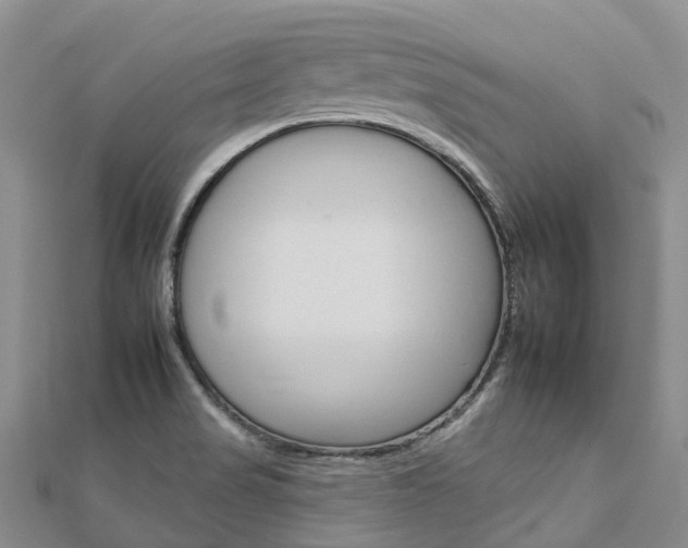X0000112931517200908241042