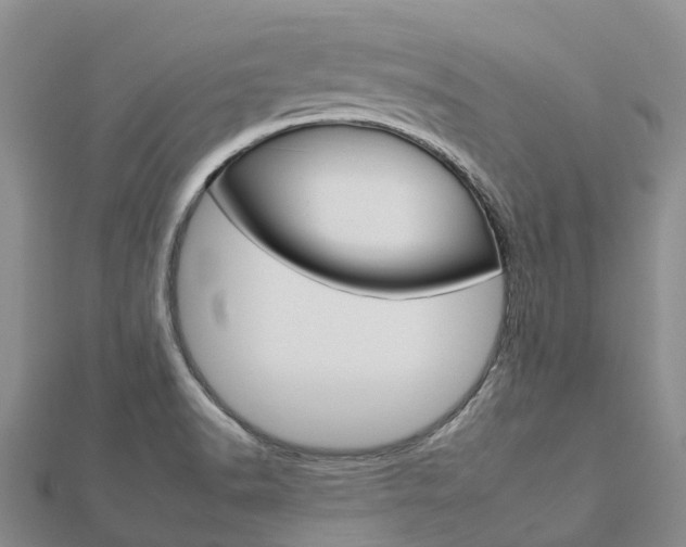 X0000112931518200908241042