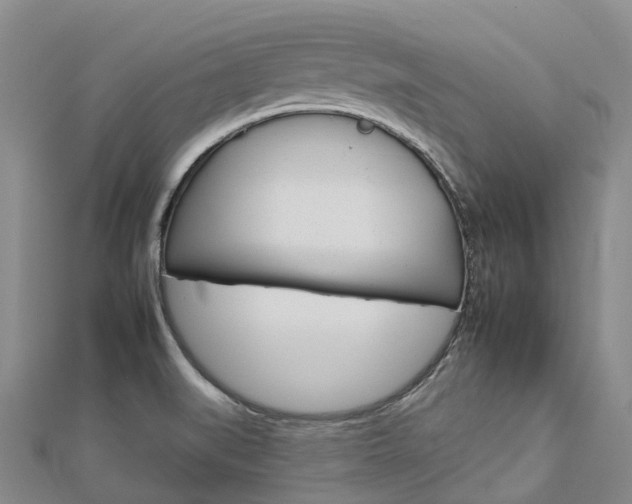X0000112931519200908241042