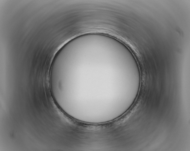 X0000112931521200908241042