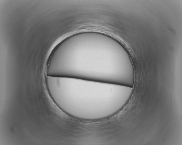 X0000112931522200908241042
