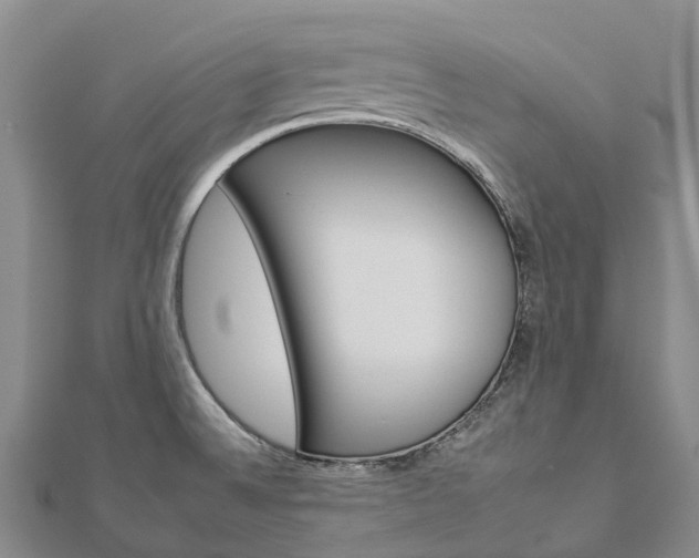 X0000112931524200908241042