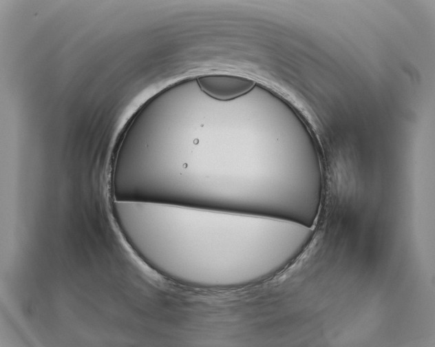 X0000112931525200908241042