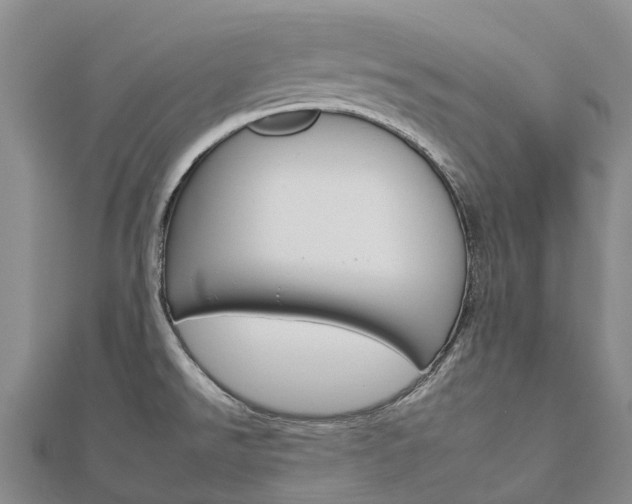 X0000112931526200908241042