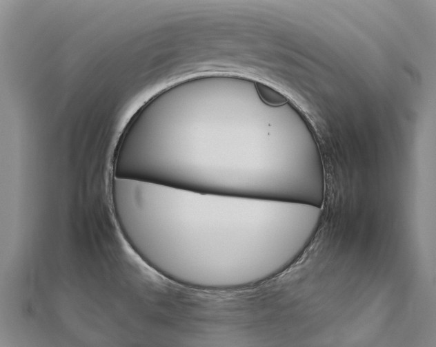 X0000112931527200908241042