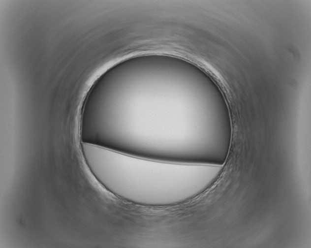 X0000112931528200908241042
