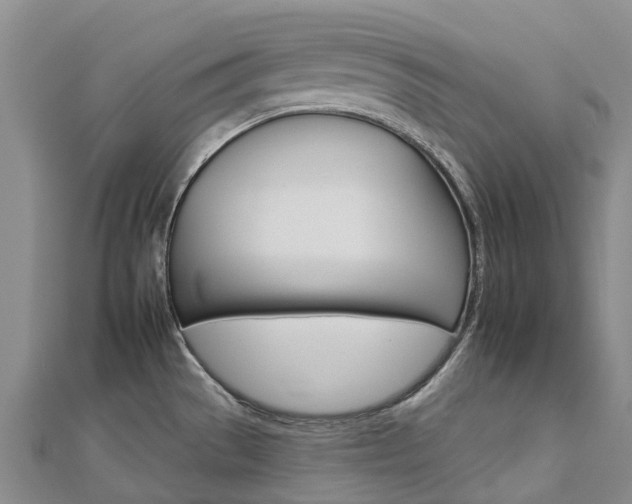 X0000112931529200908241042