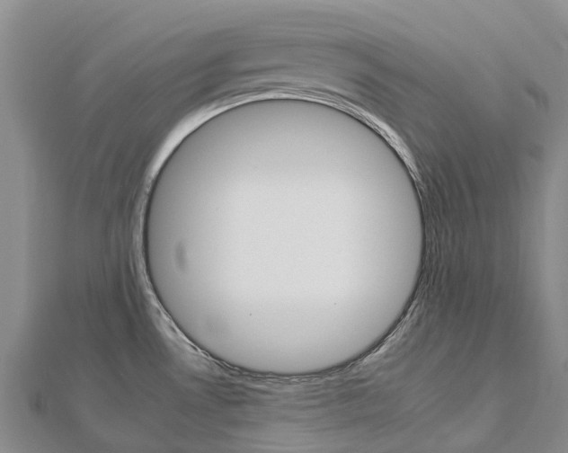 X0000112931530200908241042