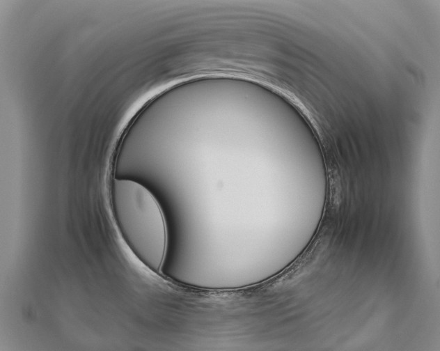 X0000112931531200908241042