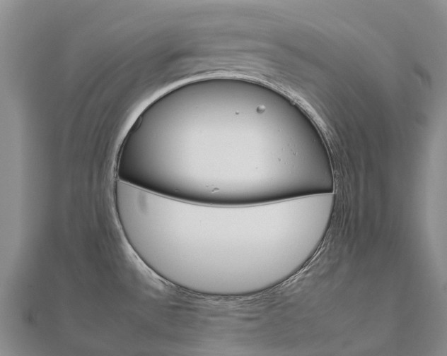 X0000112931532200908241042