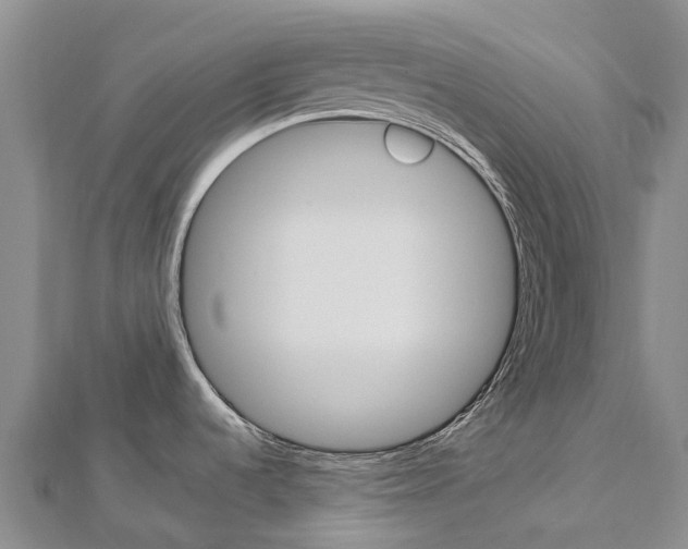 X0000112931536200908241042
