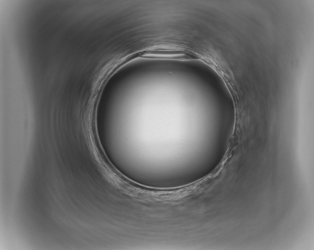 X0000112930001200908241309