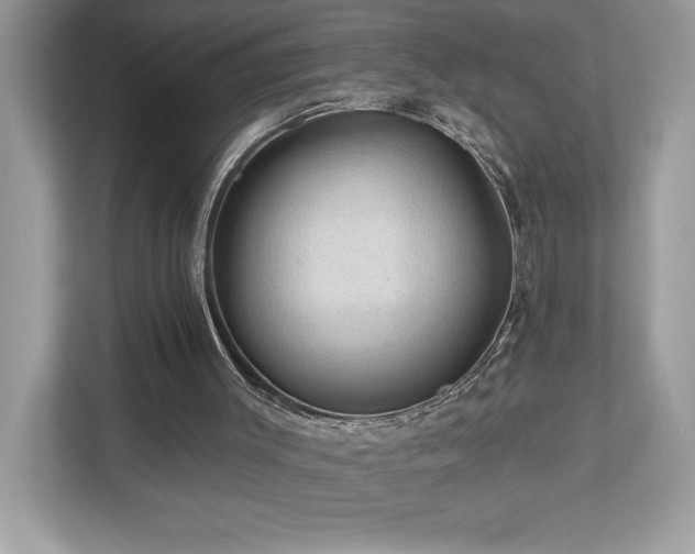 X0000112930003200908241309