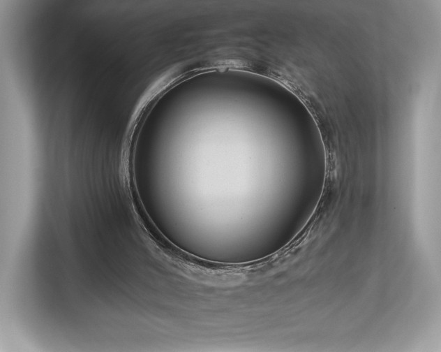 X0000112930004200908241309