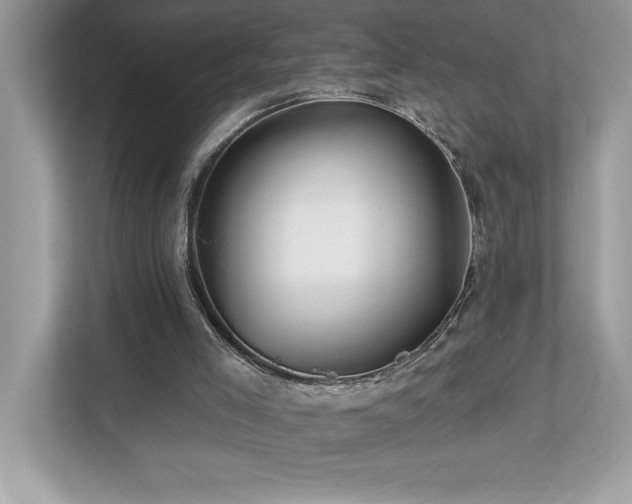 X0000112930005200908241309