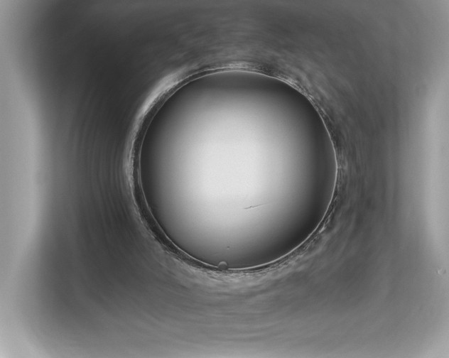 X0000112930006200908241309