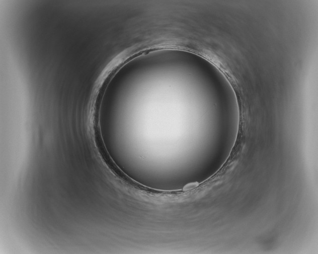 X0000112930007200908241309