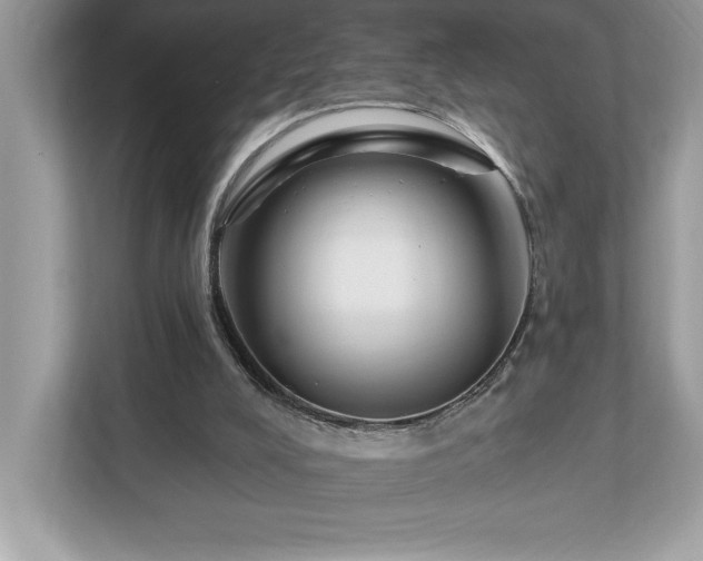 X0000112930008200908241309