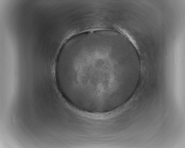 X0000112930010200908241309