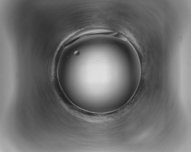 X0000112930012200908241309