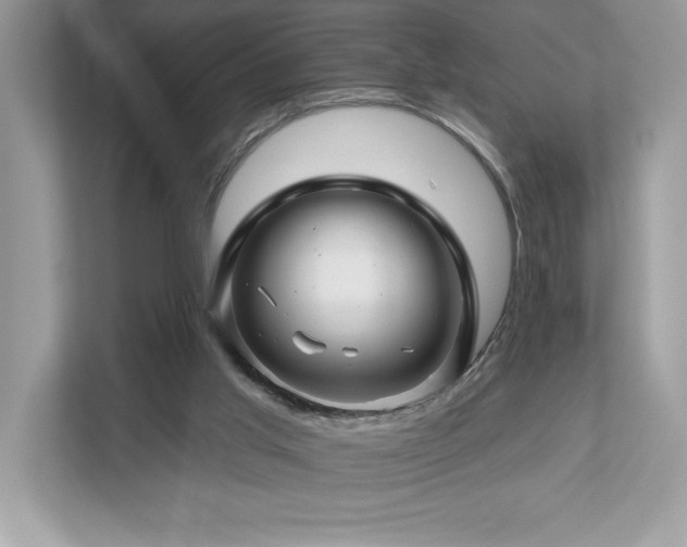 X0000112930013200908241309