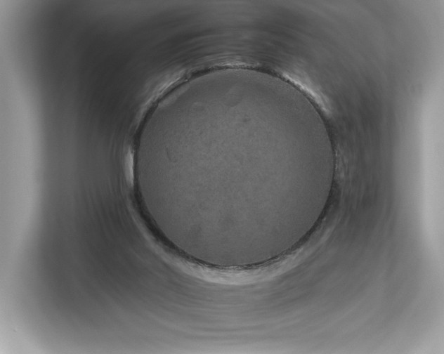 X0000112930014200908241309