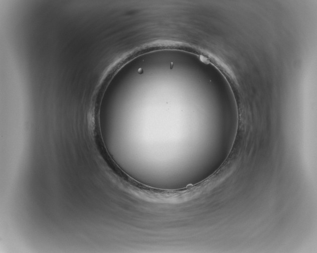 X0000112930015200908241309