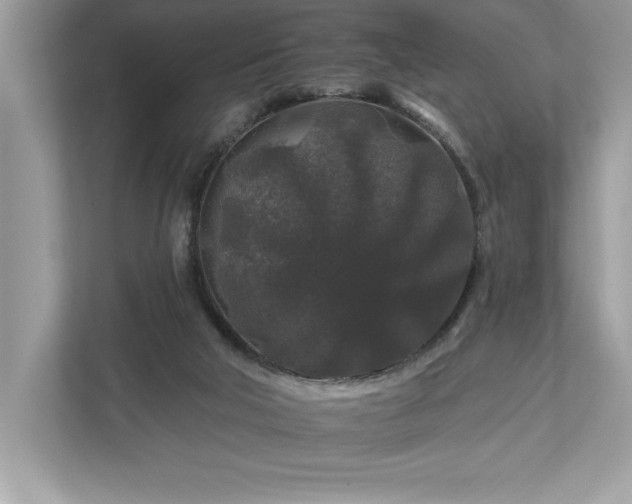 X0000112930018200908241309