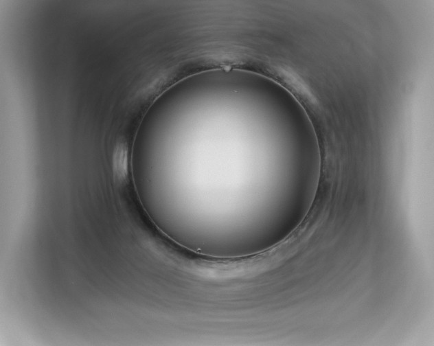 X0000112930021200908241309