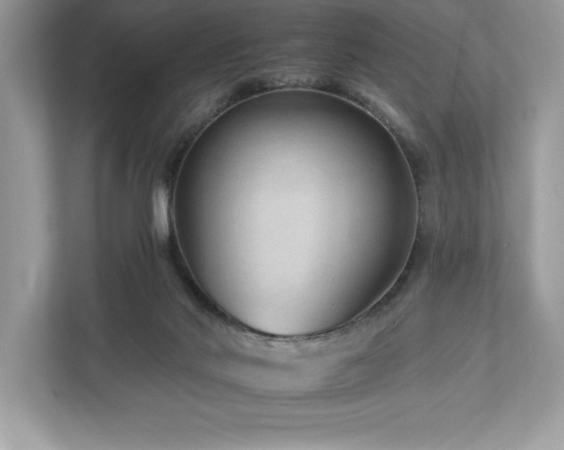 X0000112930022200908241309