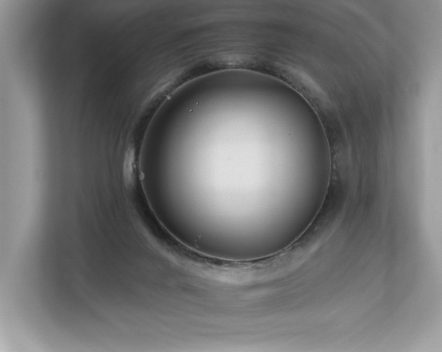 X0000112930024200908241309