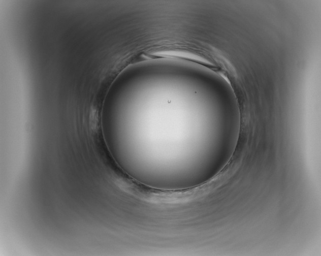 X0000112930025200908241309